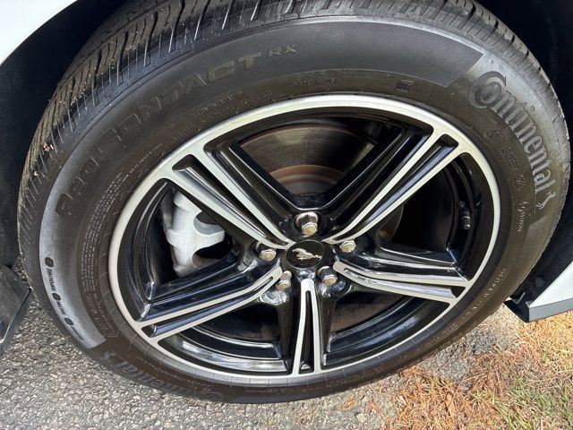 Used 2024 Ford Mustang Premium image 17