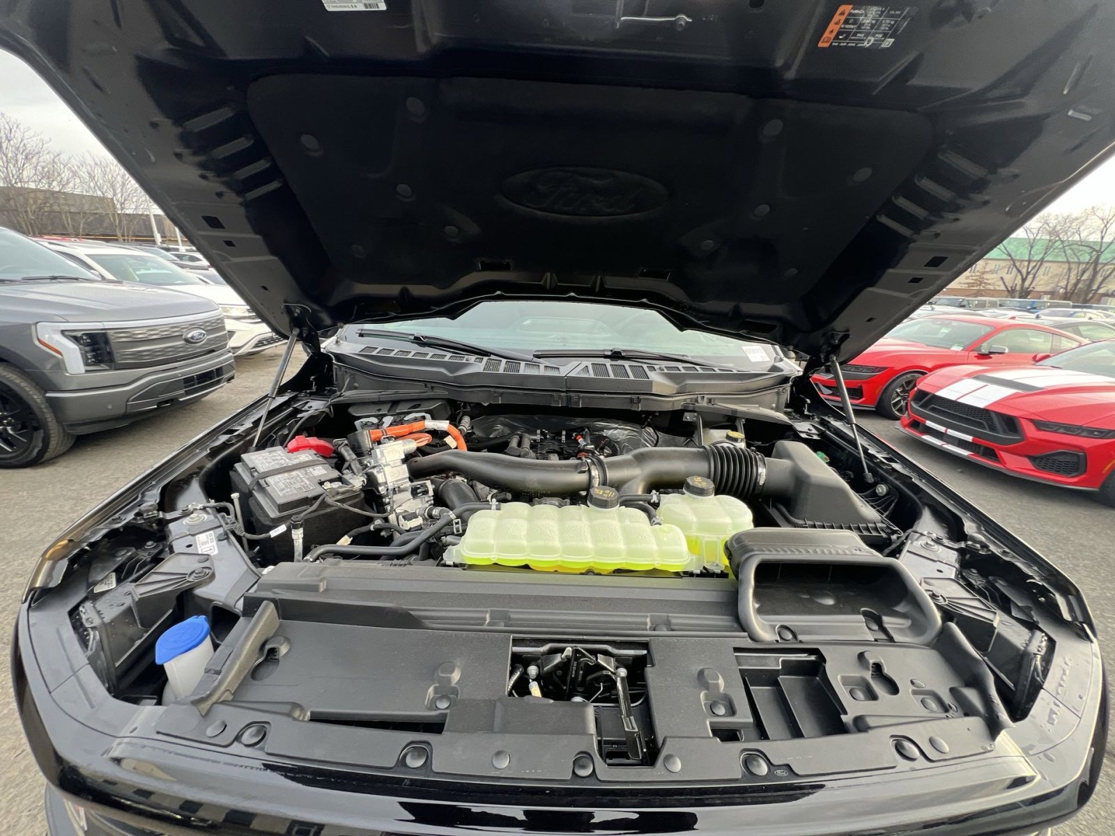 New 2026 Ford F150 XLT w/ Equipment Group 302A MID image 28