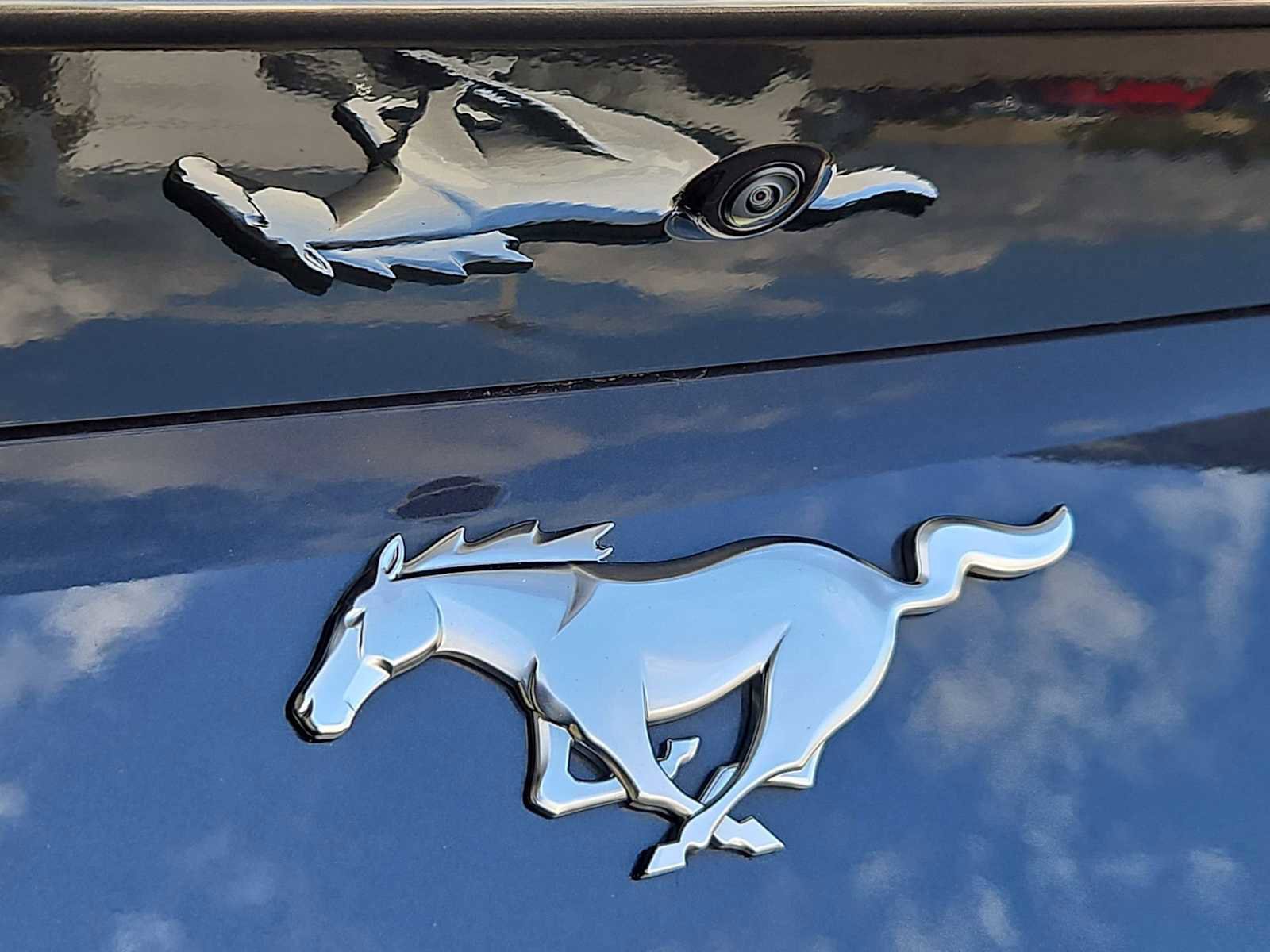 Used 2024 Ford Mustang Premium image 13