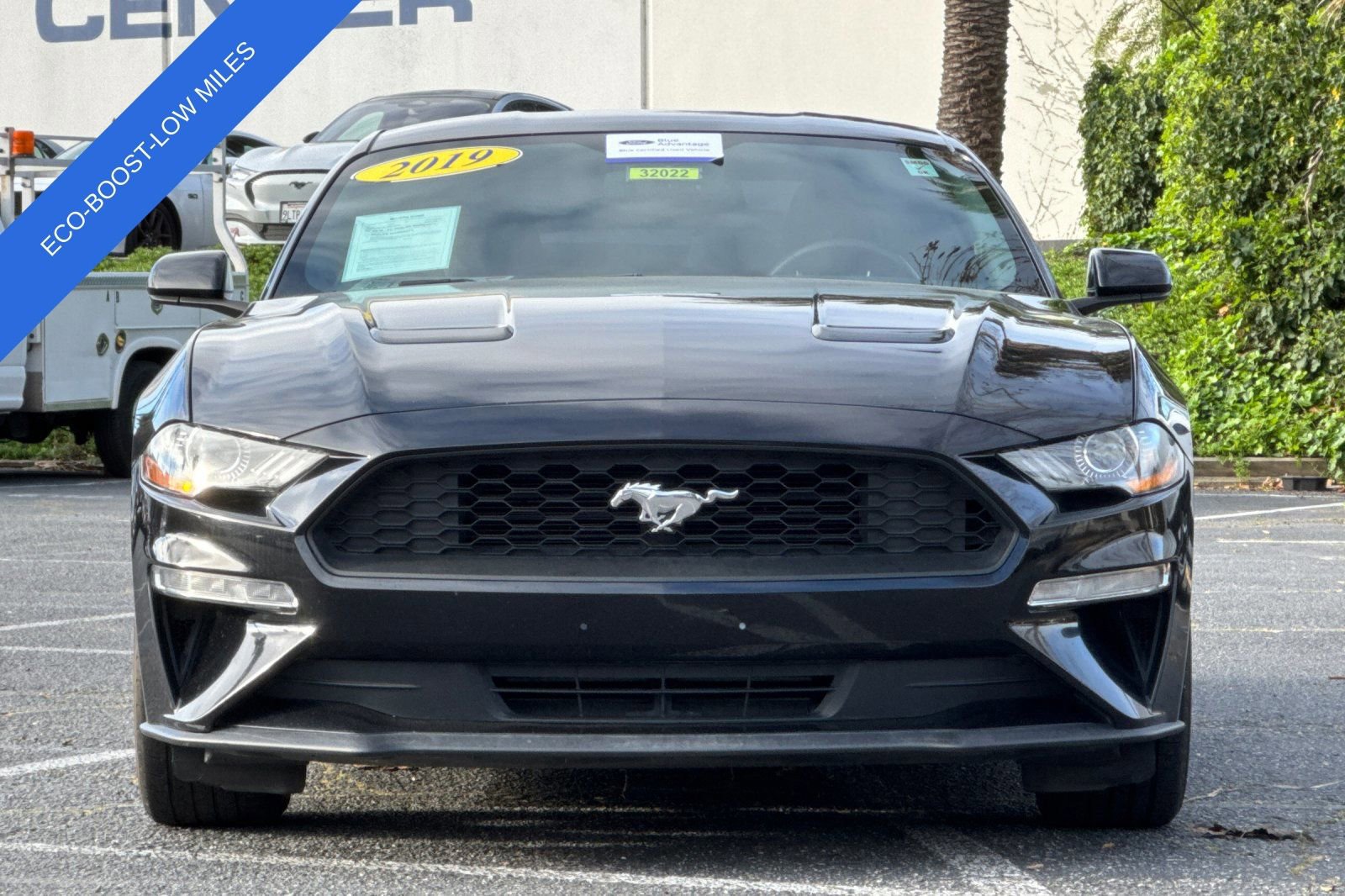 Certified 2019 Ford Mustang EcoBoost image 10