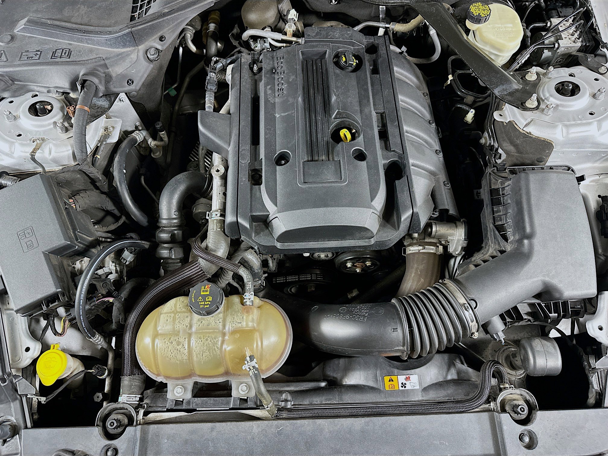 Used 2016 Ford Mustang Premium image 29