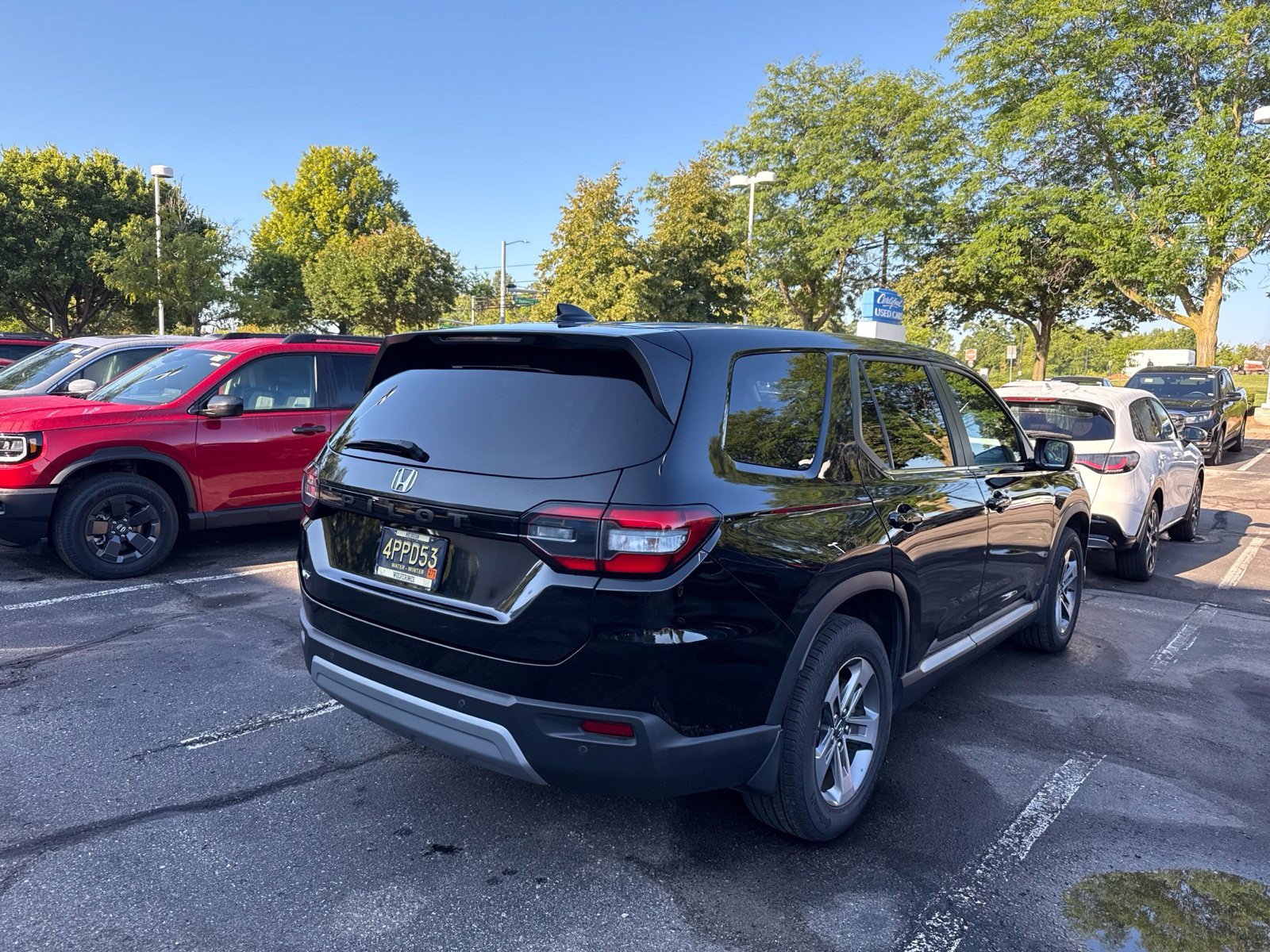 Certified 2025 Honda Pilot EX-L image 7