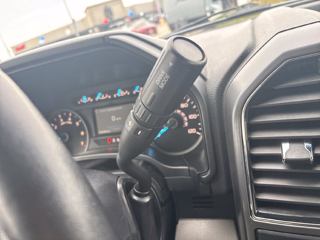 Used 2019 Ford F150 XLT w/ Equipment Group 302A Luxury AWD/4WD image 23