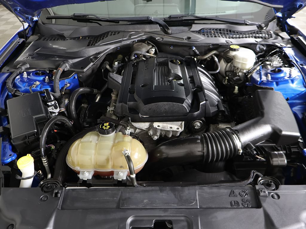 Used 2019 Ford Mustang Coupe w/ Equipment Group 101A RWD image 17