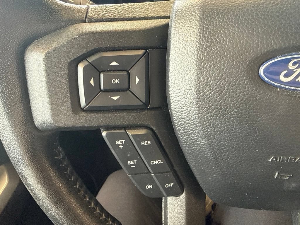 Used 2019 Ford F150 XLT w/ Equipment Group 302A Luxury AWD/4WD image 16