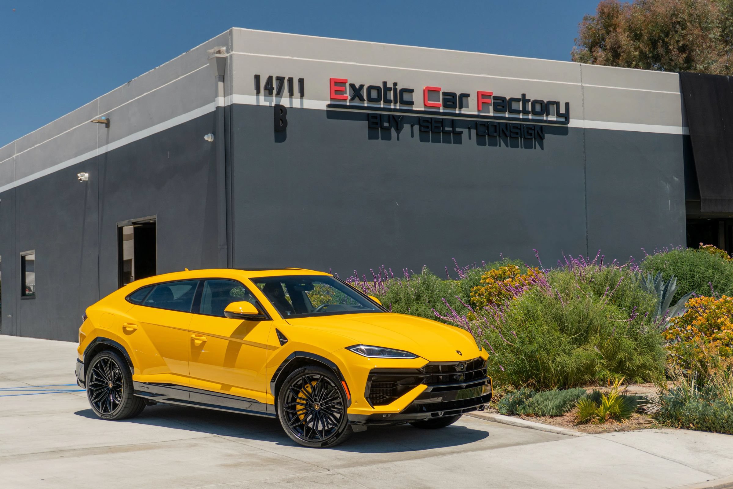 Used 2025 Lamborghini Urus SE