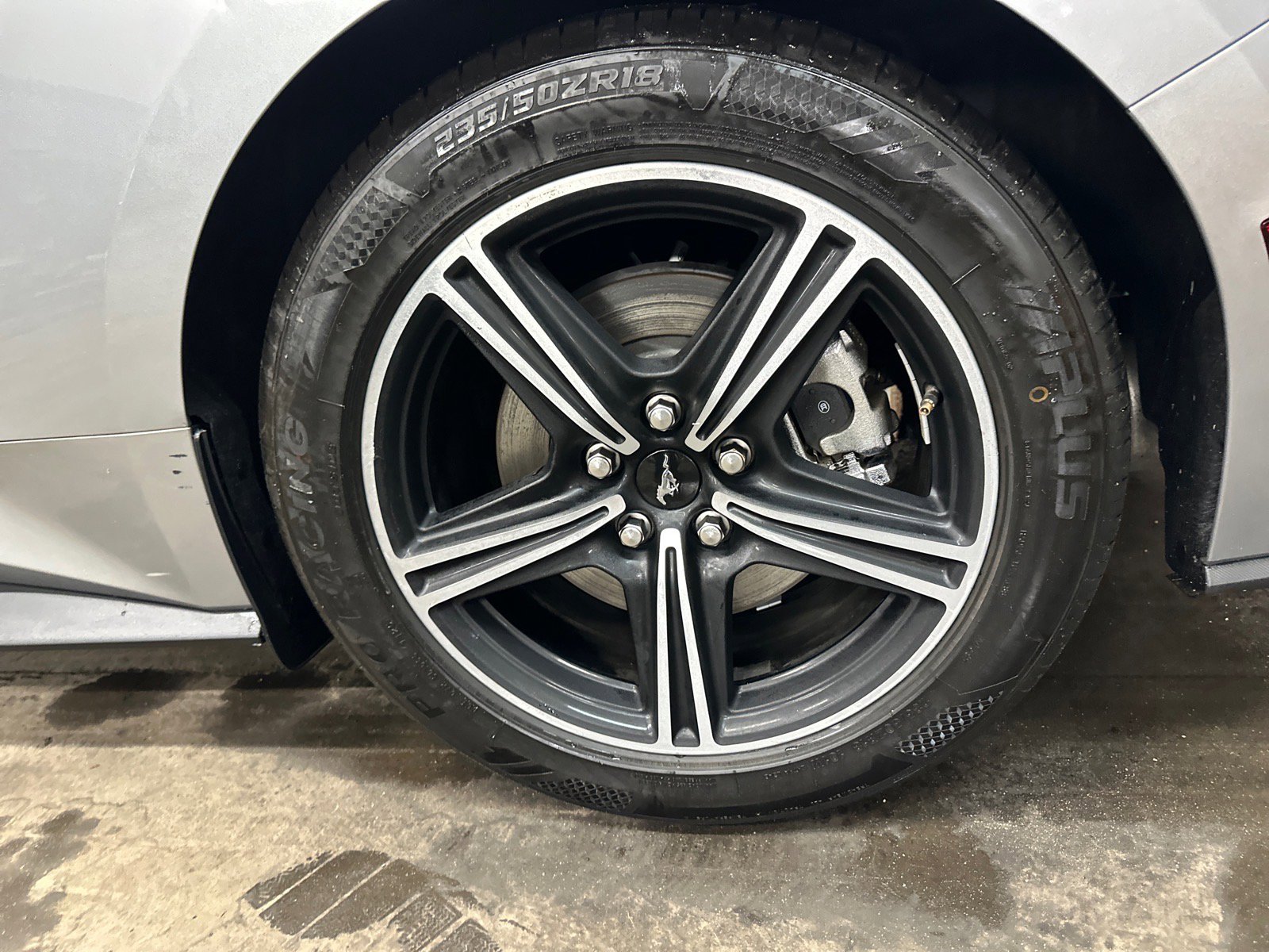 Used 2024 Ford Mustang Premium image 12