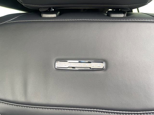 New 2025 Ford Expedition Max Platinum w/ Stealth Performance Package image 15