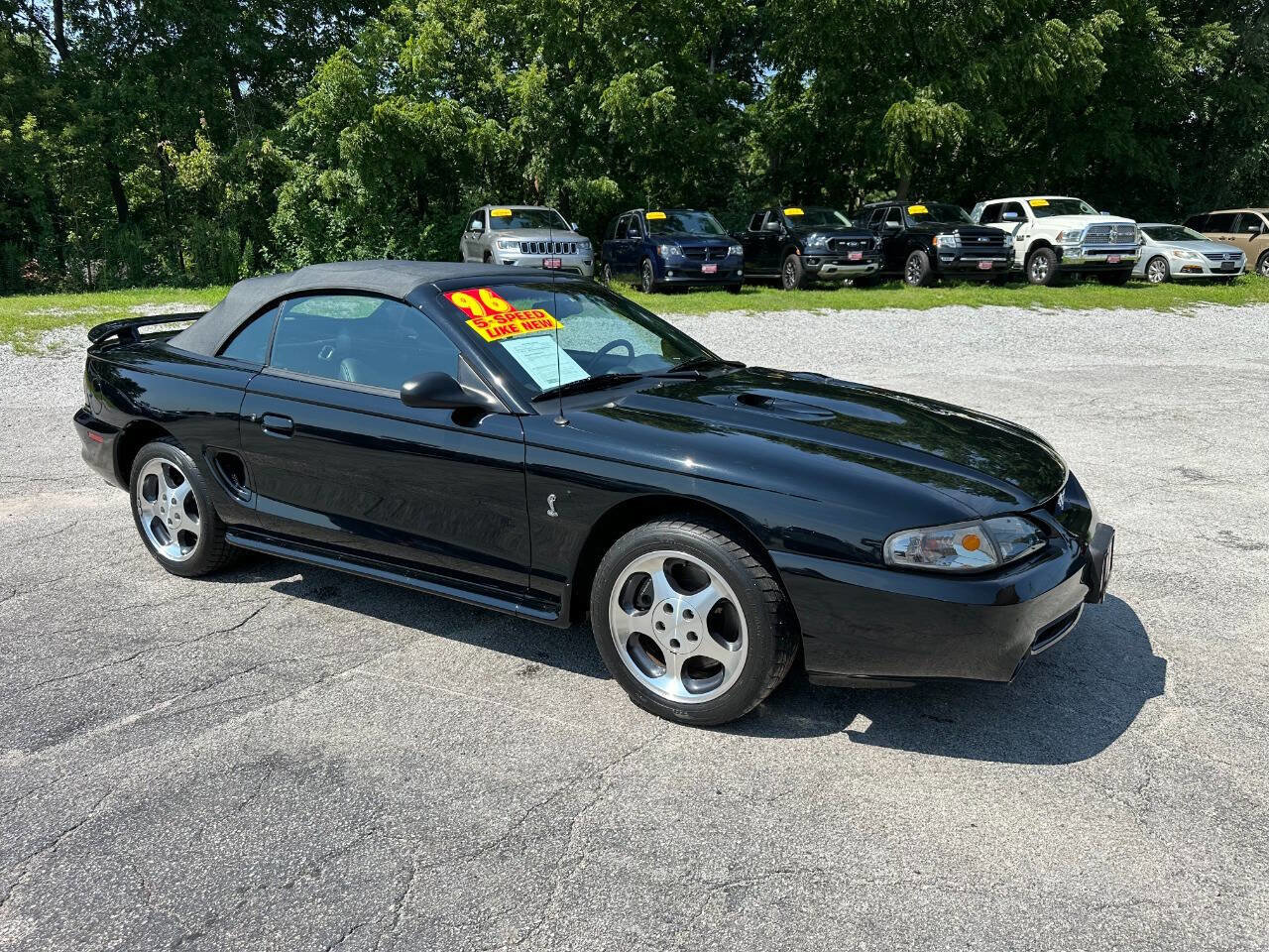 Used 1996 Ford Mustang Cobra