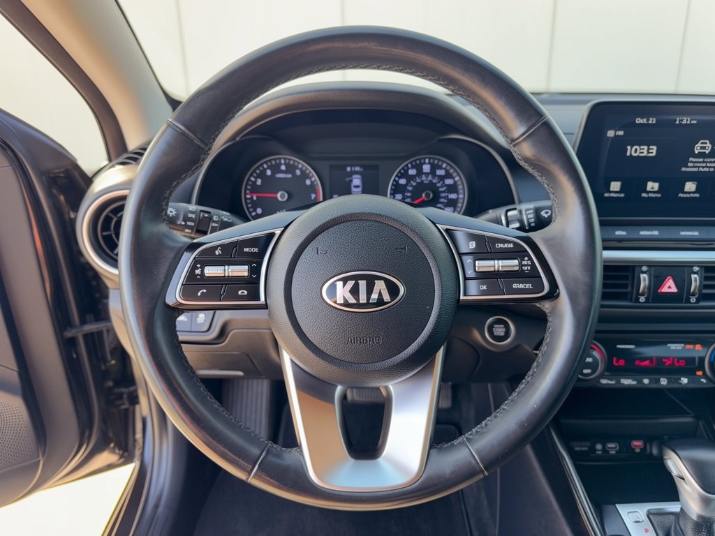 Used 2019 Kia Forte EX FWD image 10