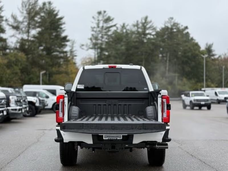 New 2026 Ford F250 Platinum image 10