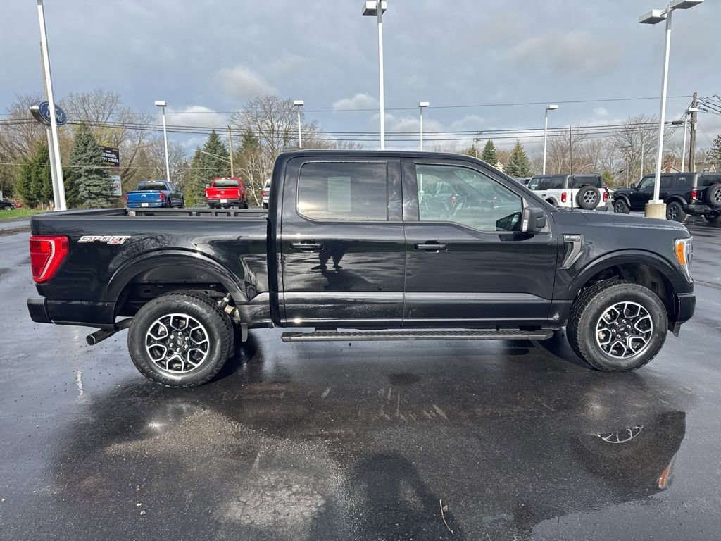 Used 2023 Ford F150 XLT w/ Equipment Group 302A High image 11