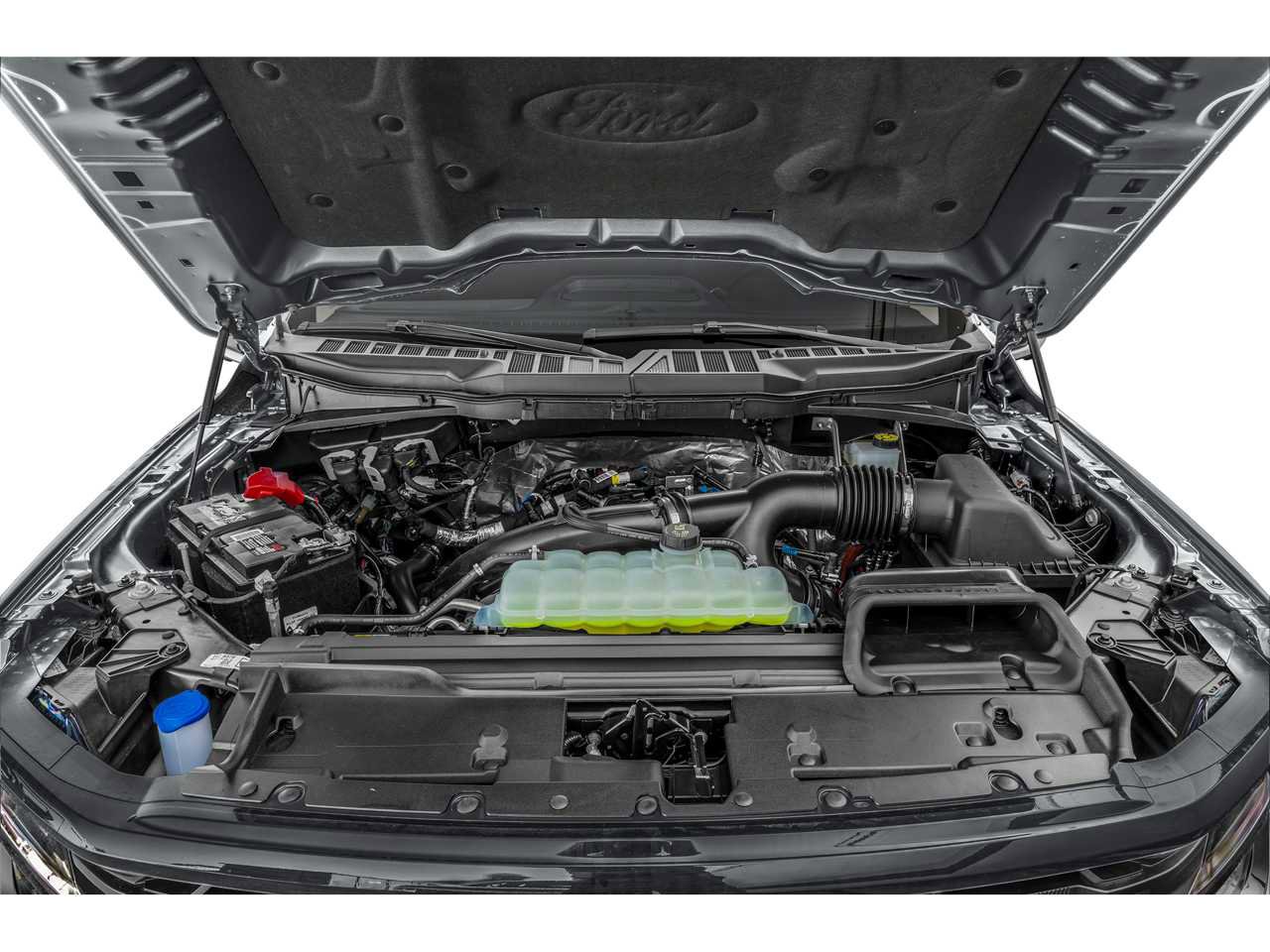 Used 2025 Ford F150 XLT w/ Equipment Group 301A Standard image 8