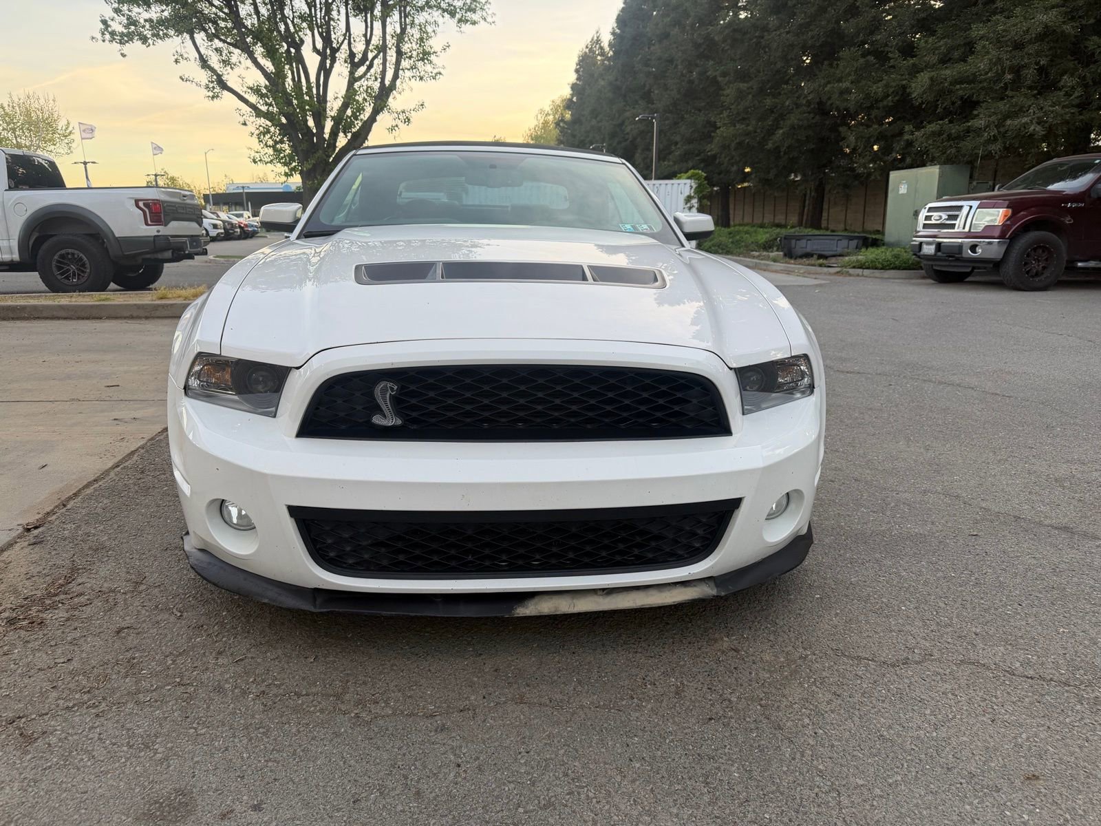Used 2010 Ford Mustang Shelby GT500 image 8