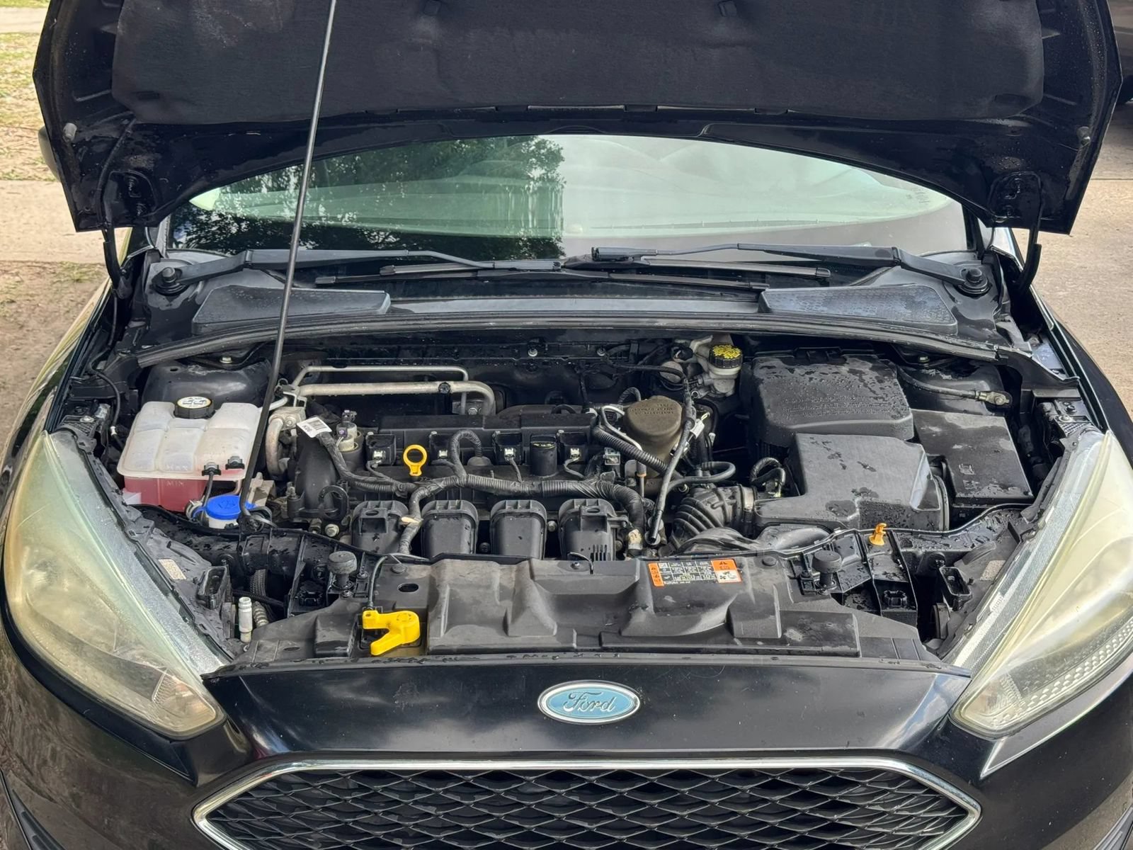 Used 2016 Ford Focus S FWD image 11