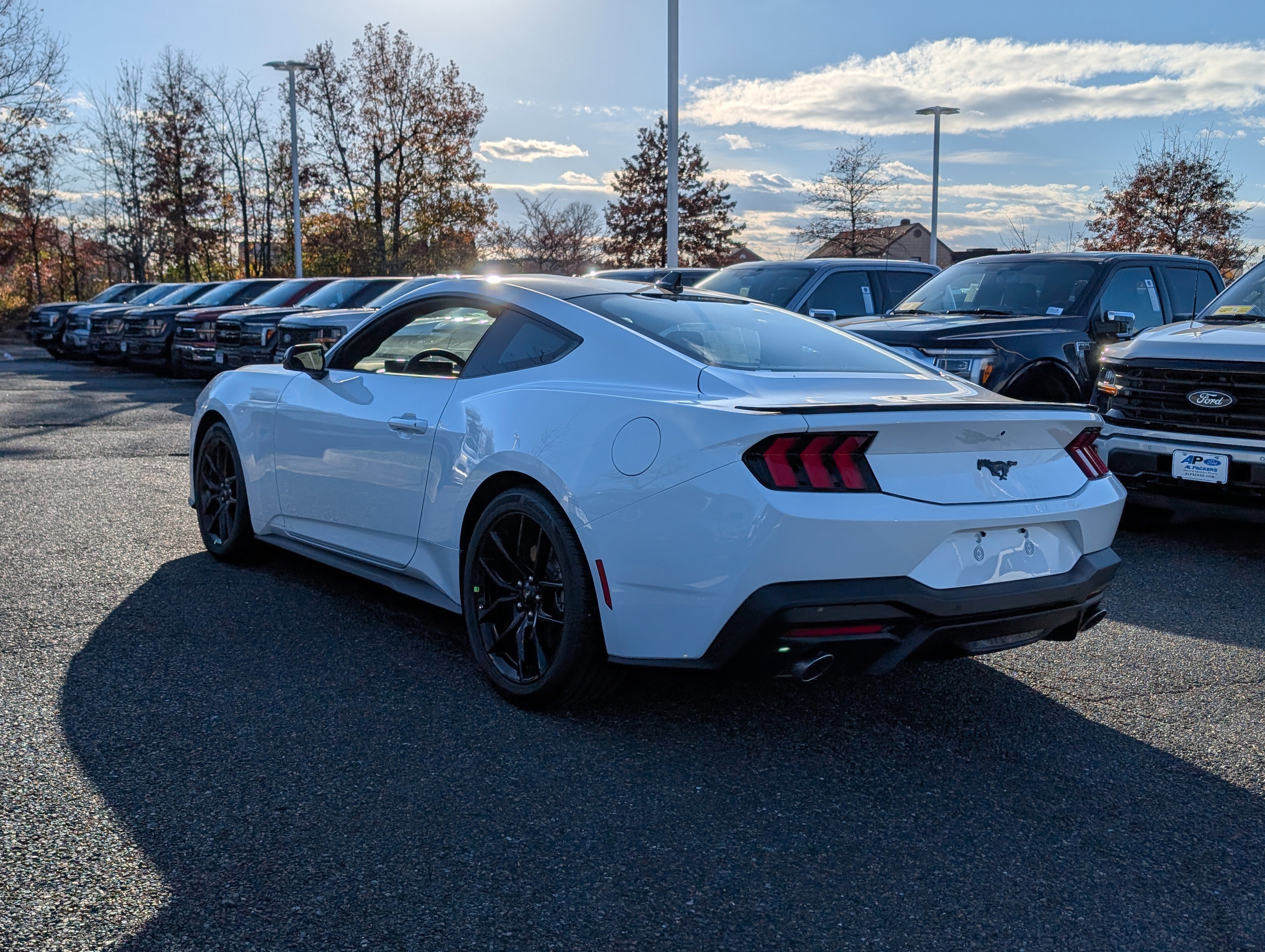 New 2026 Ford Mustang Coupe w/ Mustang Nite Pony Package image 3