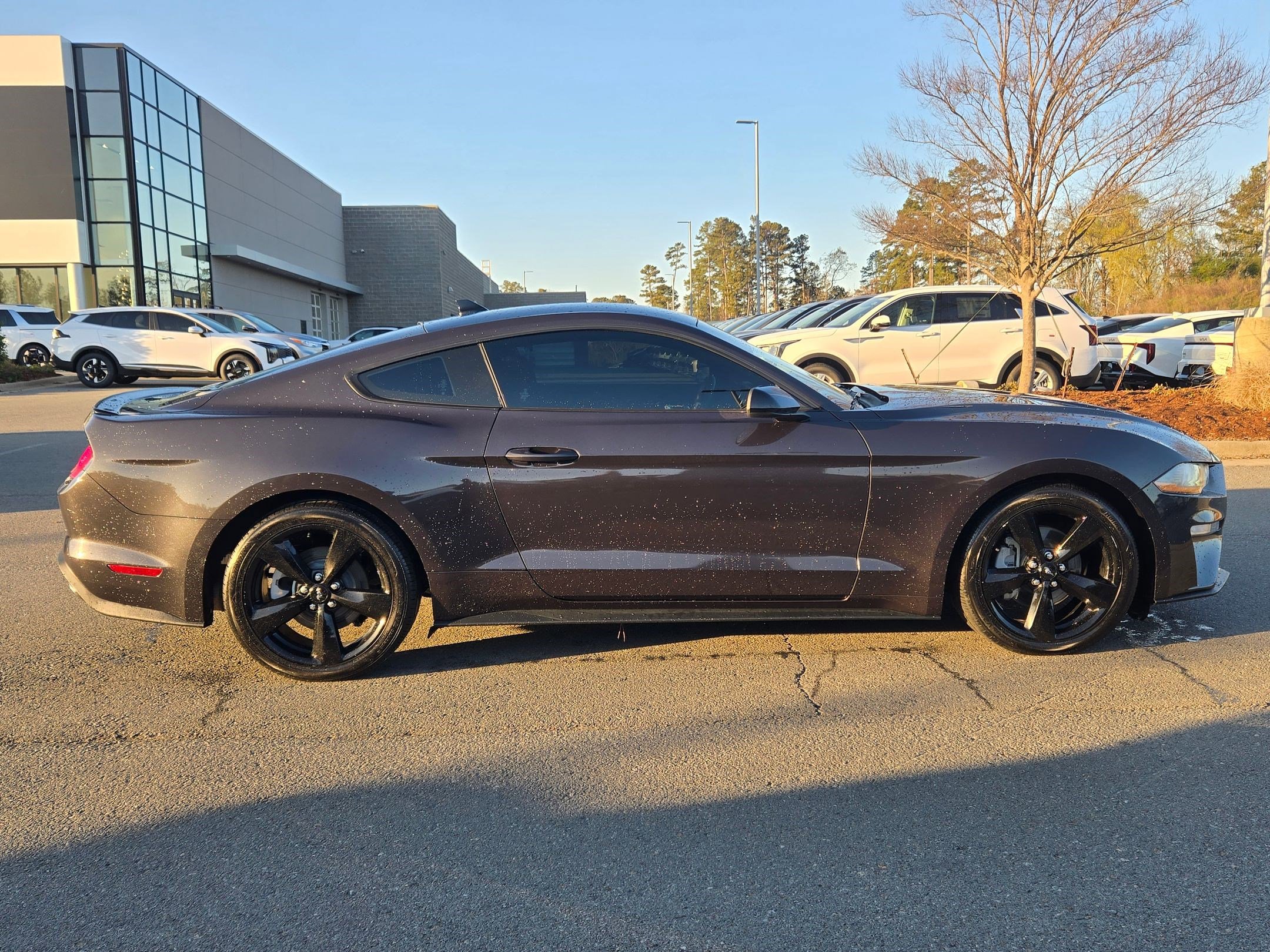 Used 2023 Ford Mustang EcoBoost w/ Equipment Group 101A image 8