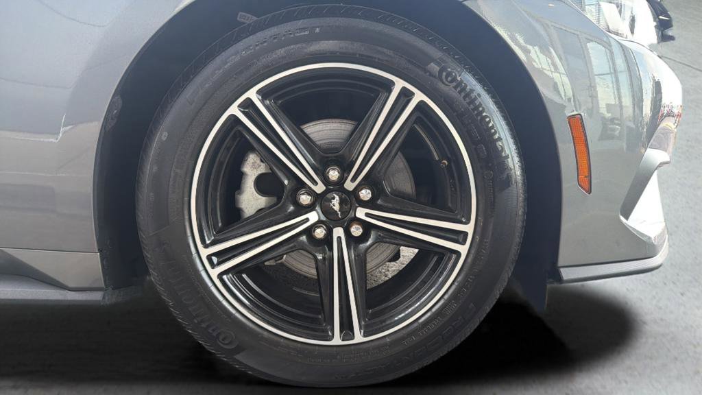 Used 2024 Ford Mustang Premium image 12