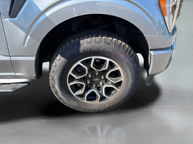 Used 2023 Ford F150 XLT w/ Equipment Group 302A High AWD/4WD image 31