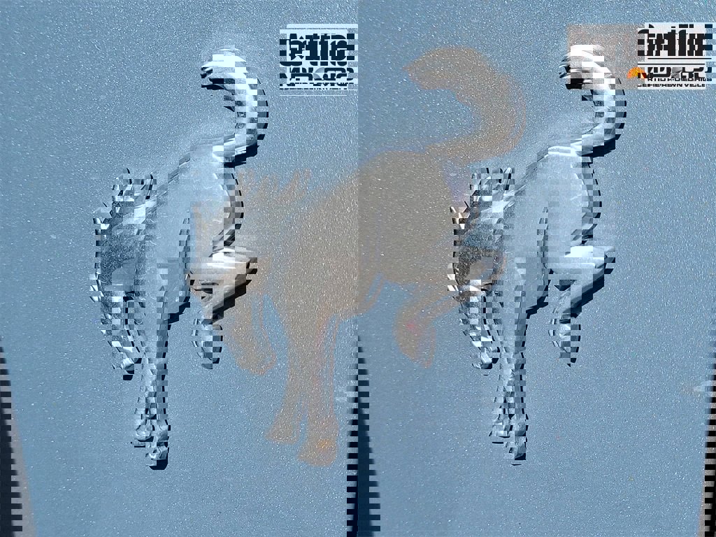 Used 2024 Ford Bronco Big Bend image 14