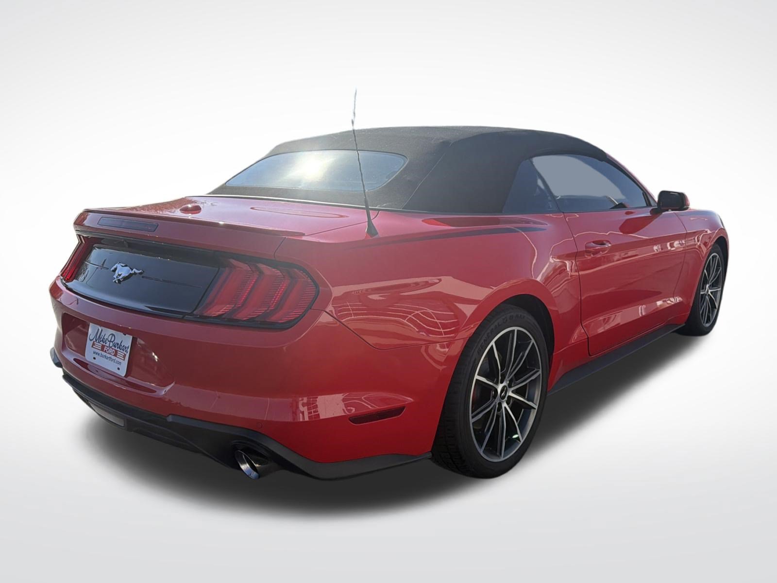 Used 2019 Ford Mustang Premium w/ Equipment Group 201A RWD image 9