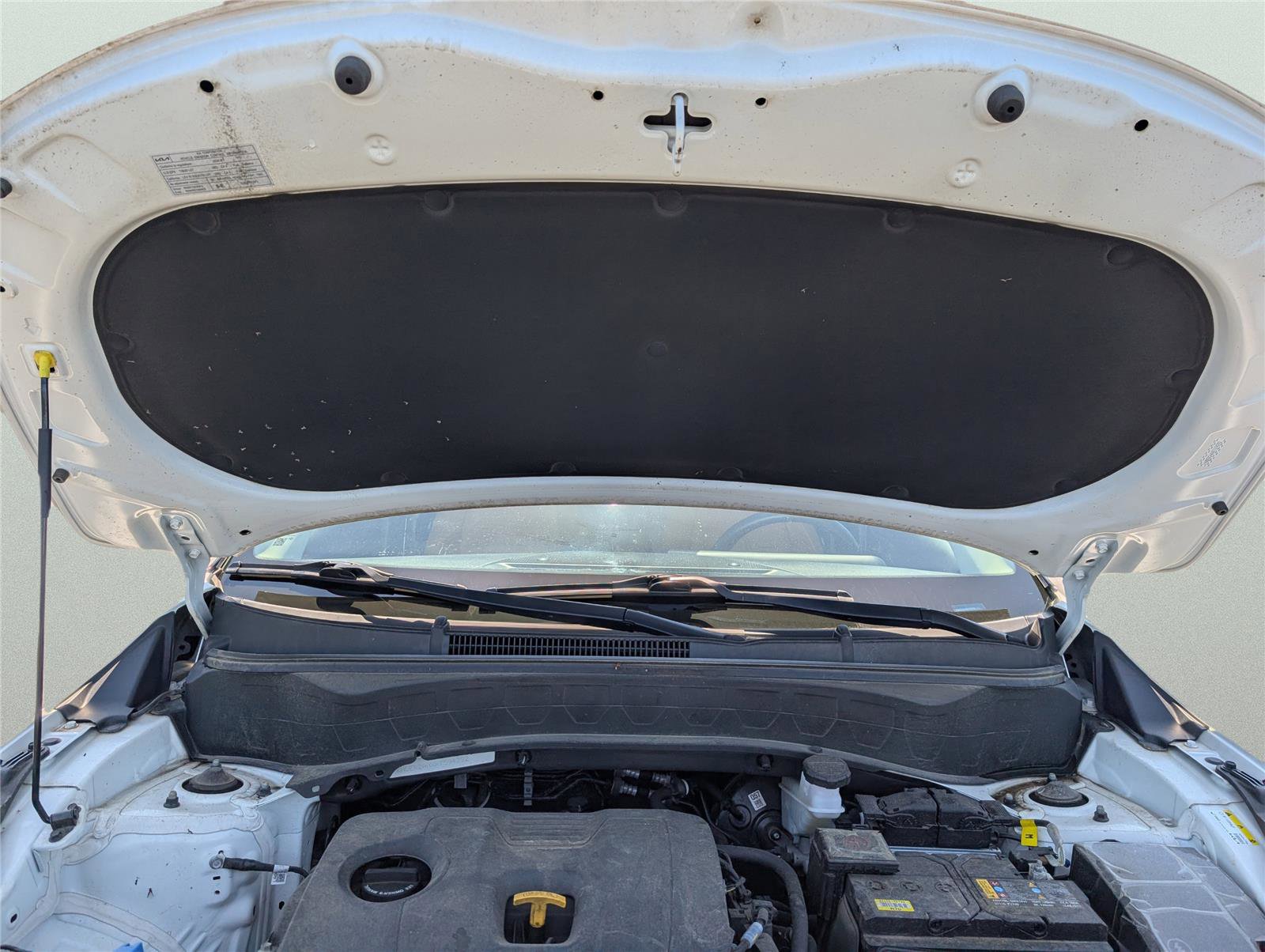 Used 2024 Kia Seltos EX FWD image 35