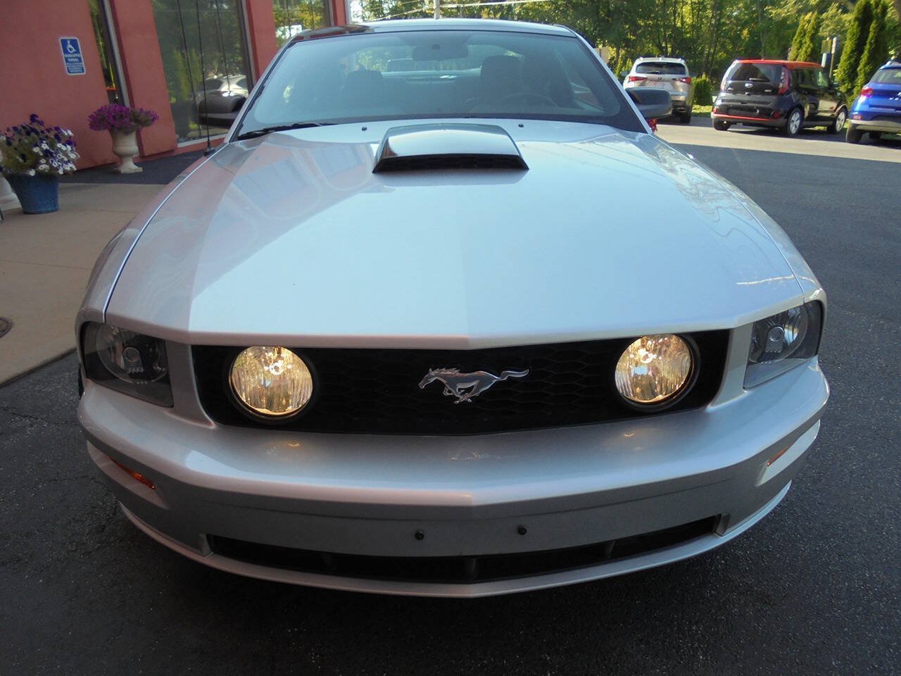 Used 2009 Ford Mustang GT RWD image 3