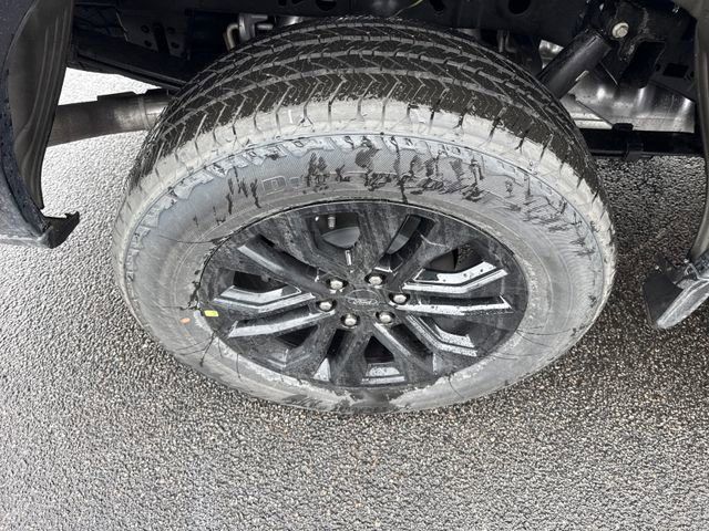 New 2026 Ford F150 XLT w/ Equipment Group 302A MID image 13