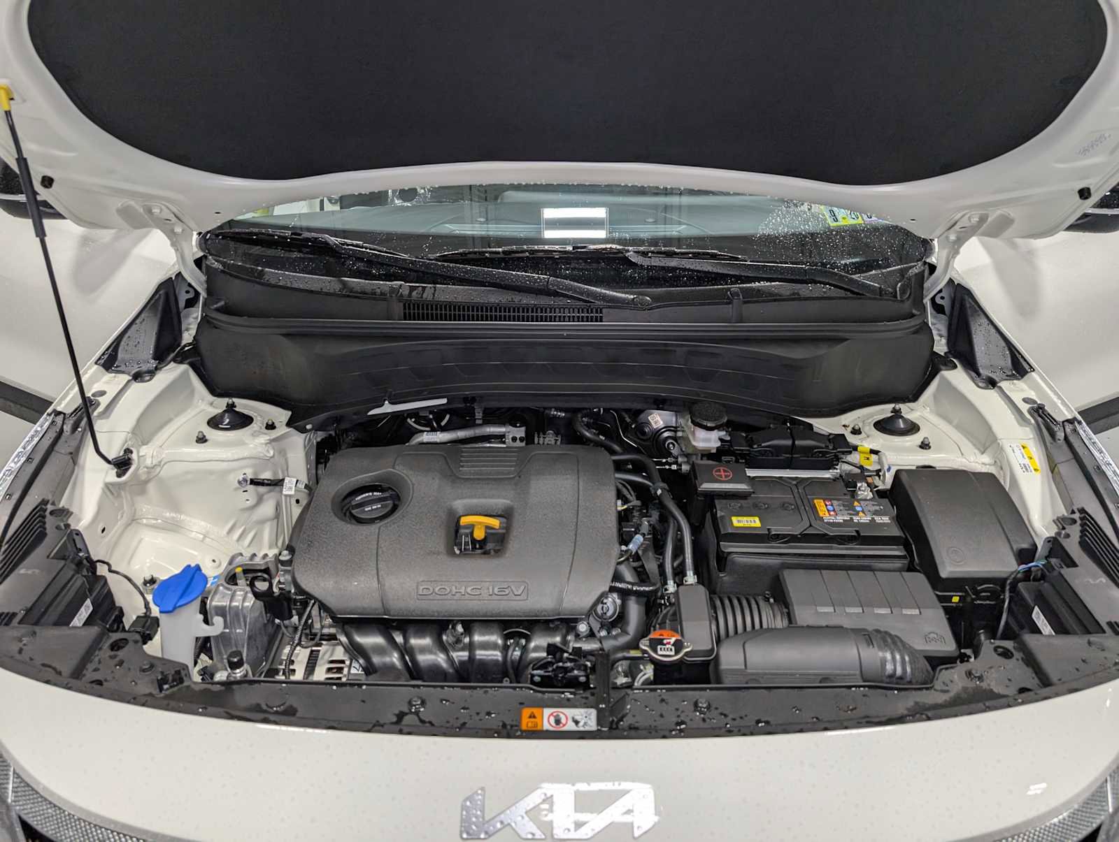 New 2026 Kia Seltos S image 10