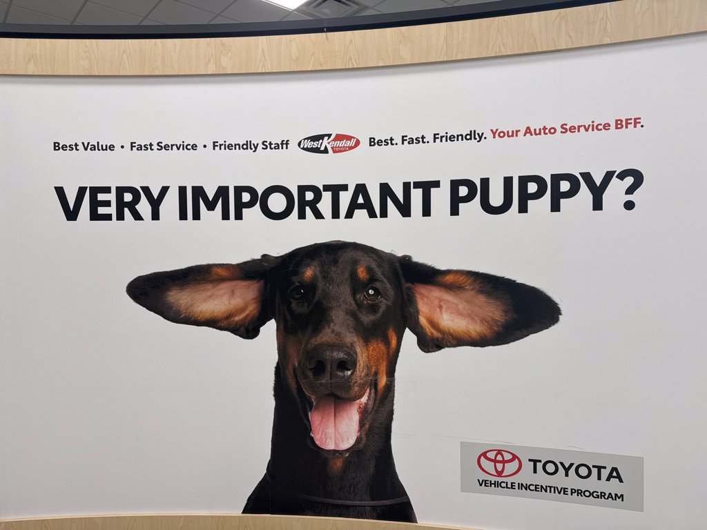 Used 2023 Toyota 4Runner Limited RWD image 8