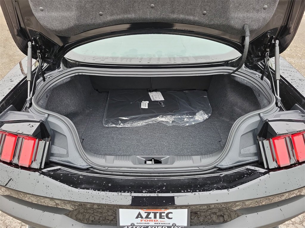 New 2026 Ford Mustang Coupe image 19