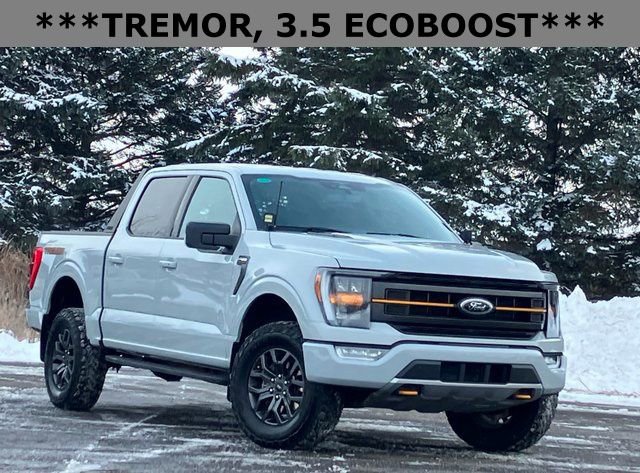 Used 2023 Ford F150 Tremor AWD/4WD image 1