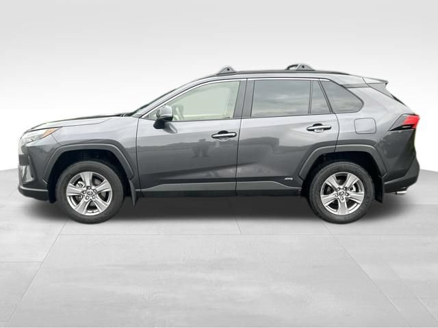 Certified 2025 Toyota RAV4 XLE AWD/4WD video 2