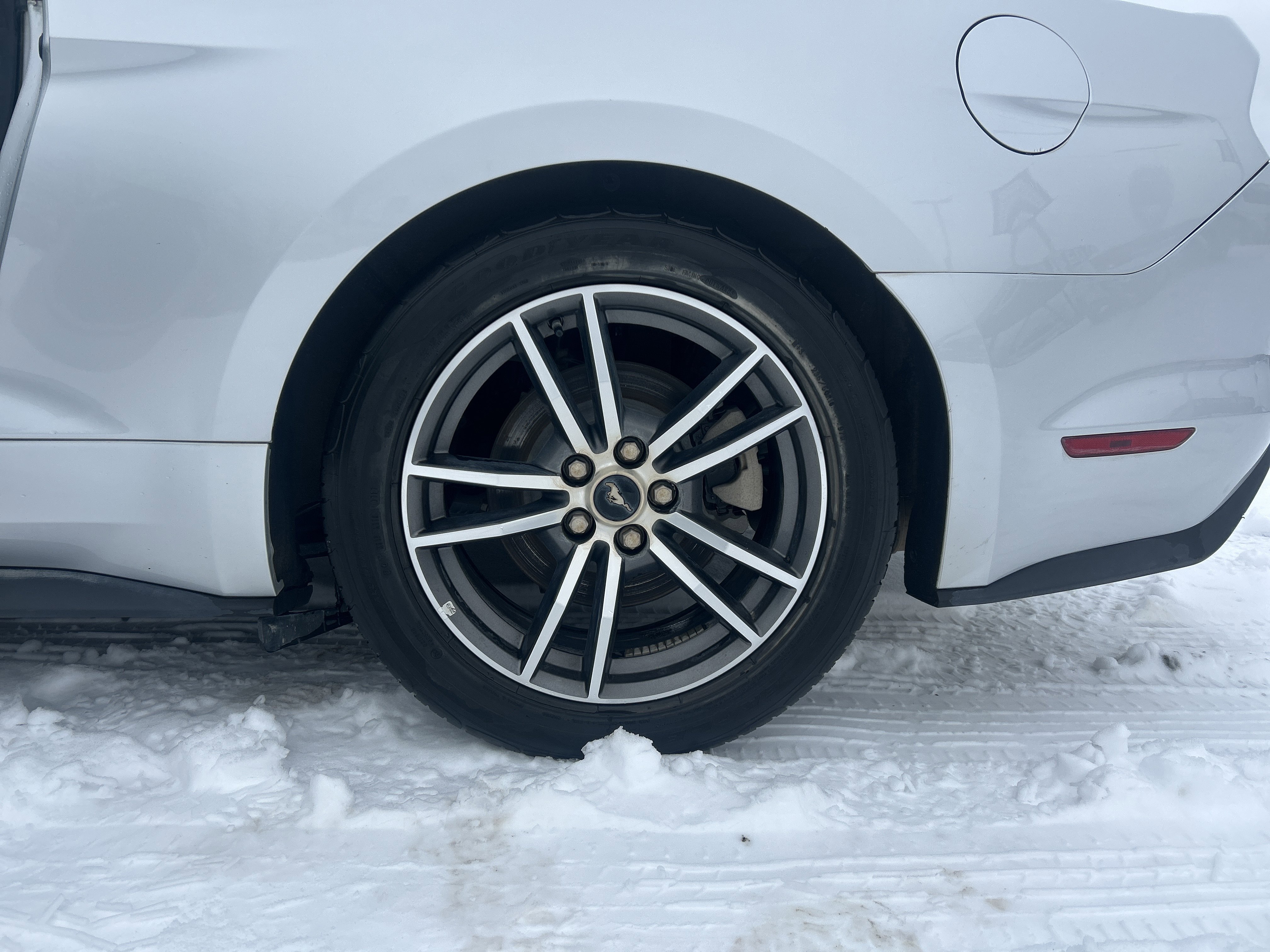 Used 2017 Ford Mustang Premium image 22