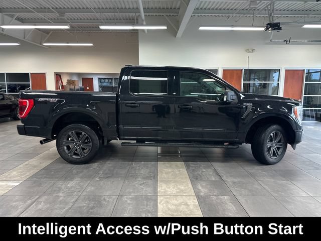 Used 2023 Ford F150 XLT w/ Equipment Group 302A High AWD/4WD image 13