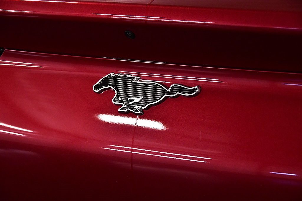 Used 2025 Ford Mustang Mach-E Premium w/ Sport Appearance Package image 12