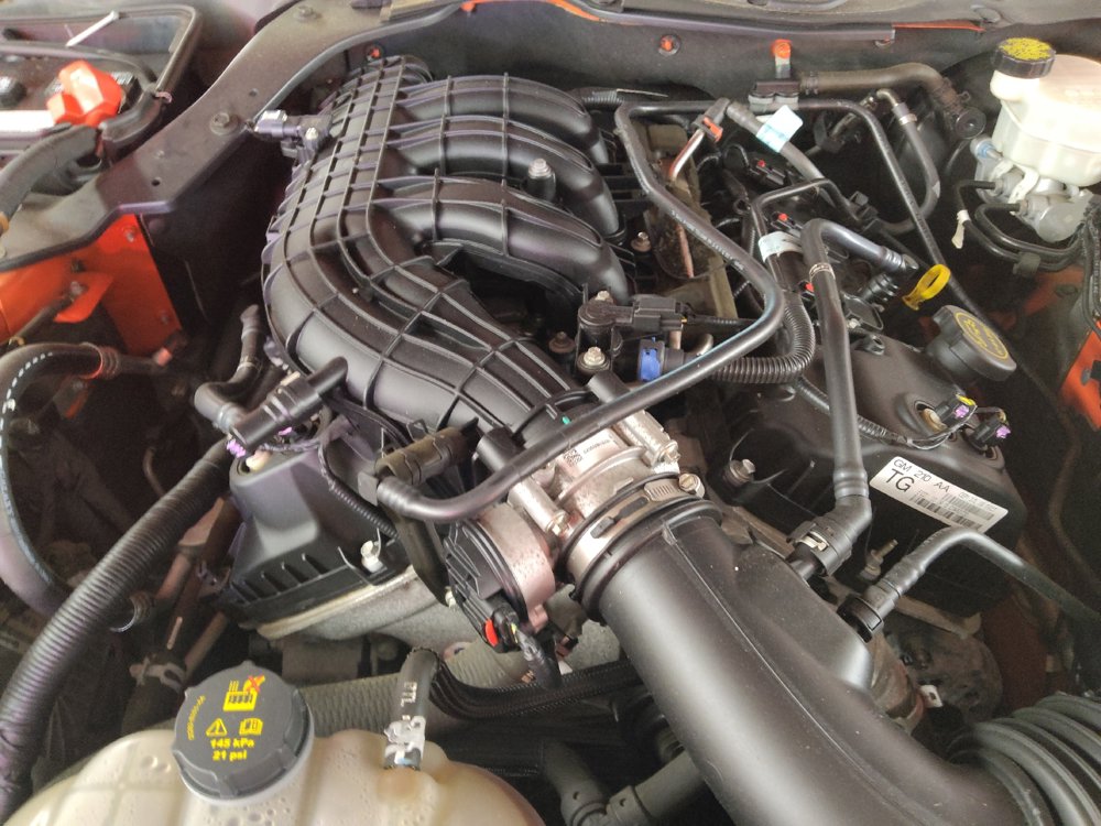 Used 2016 Ford Mustang Coupe RWD image 30