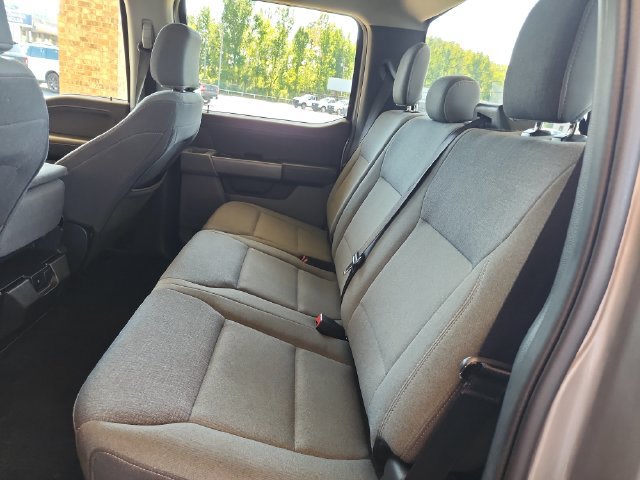Used 2025 Ford F150 XLT w/ Equipment Group 301A Standard RWD image 19