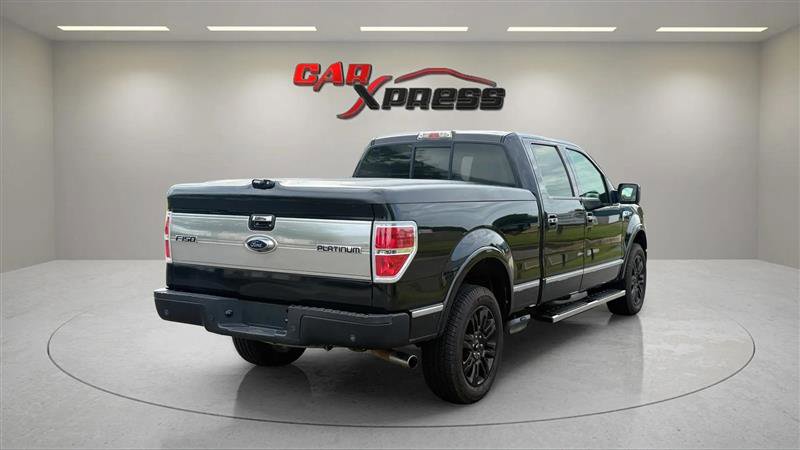 Used 2010 Ford F150 Platinum image 12