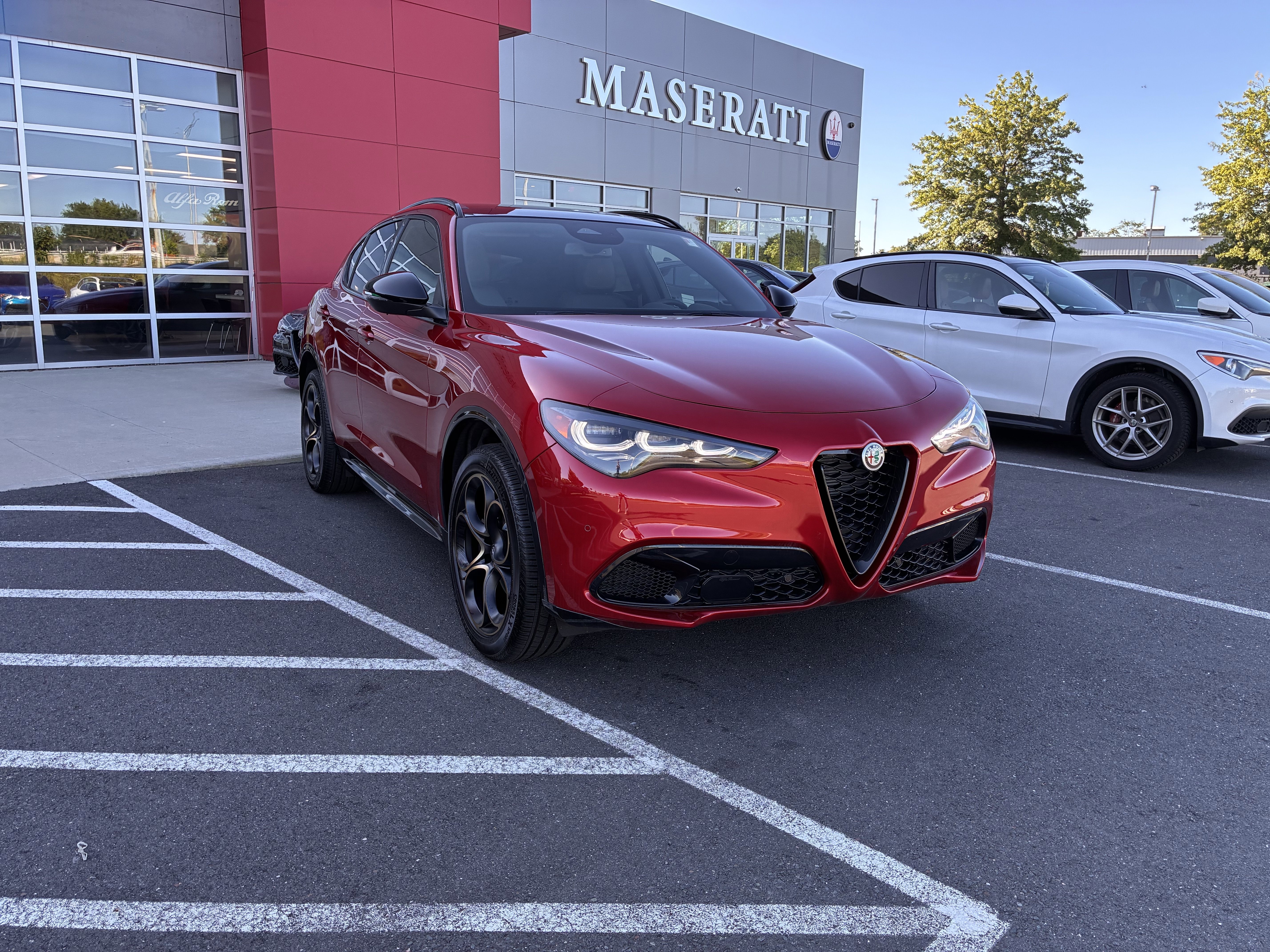 New 2025 Alfa Romeo Stelvio Sprint image 4