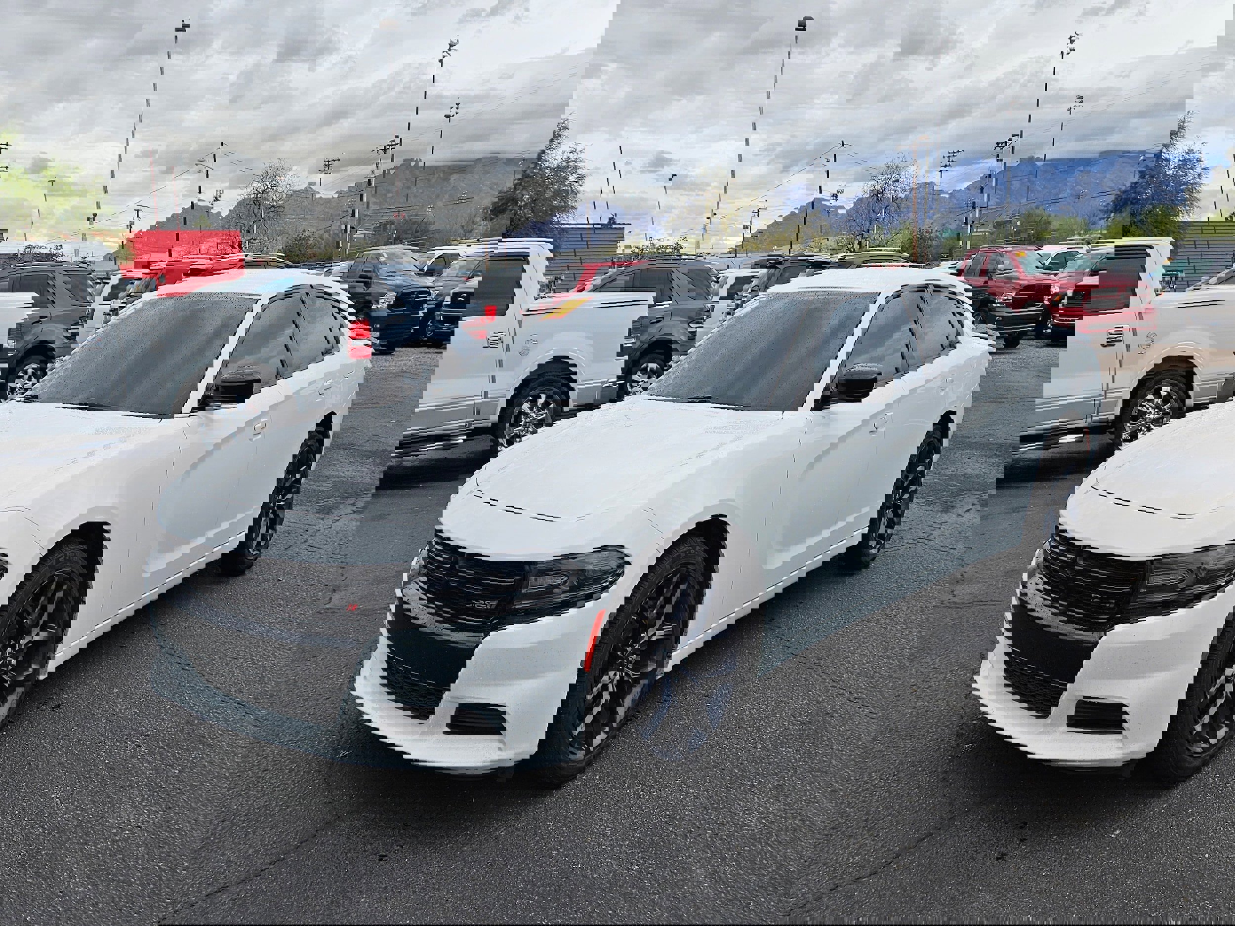 Used 2020 Dodge Charger SXT w/ Blacktop Package image 1