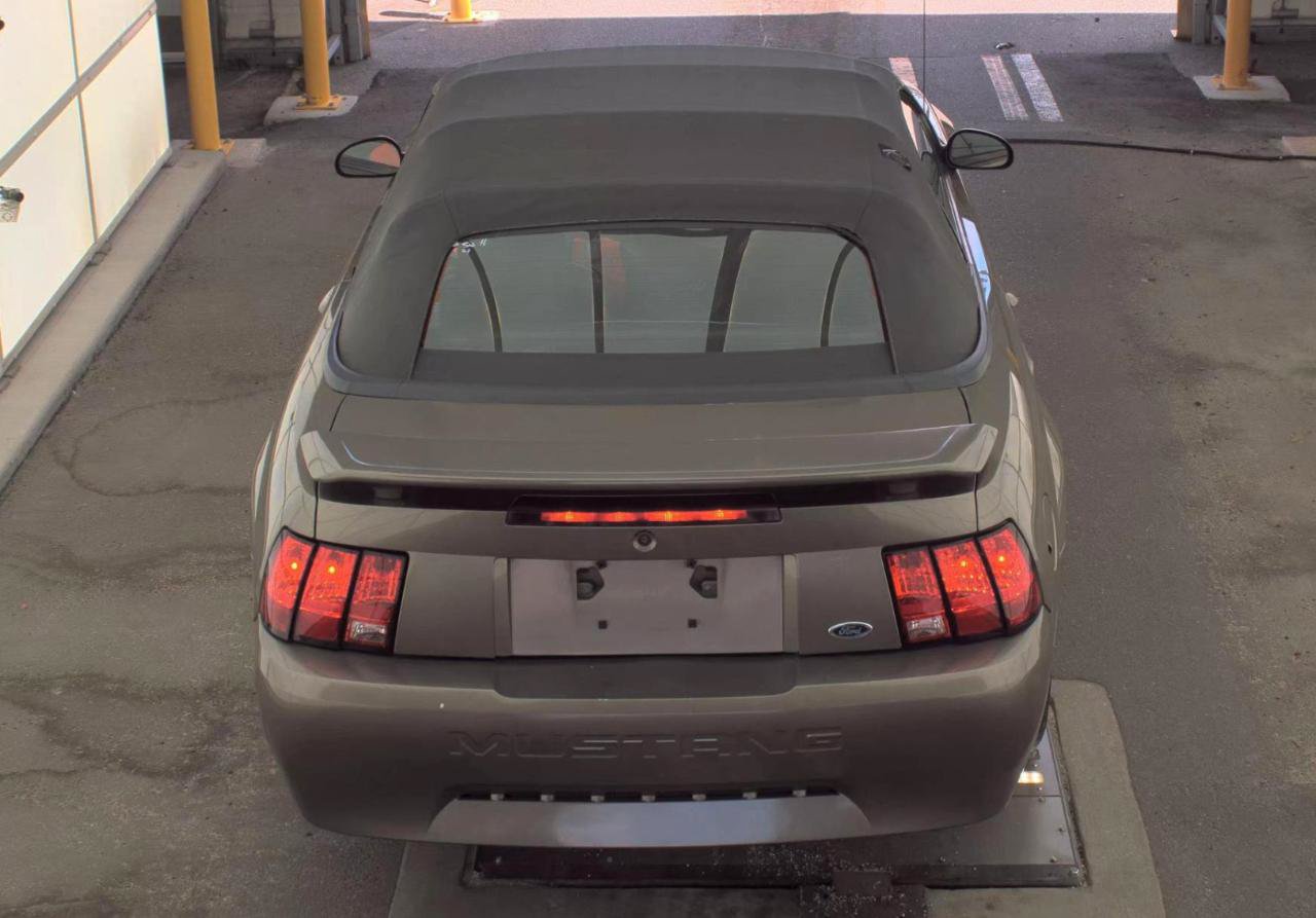 Used 2002 Ford Mustang Premium RWD image 6