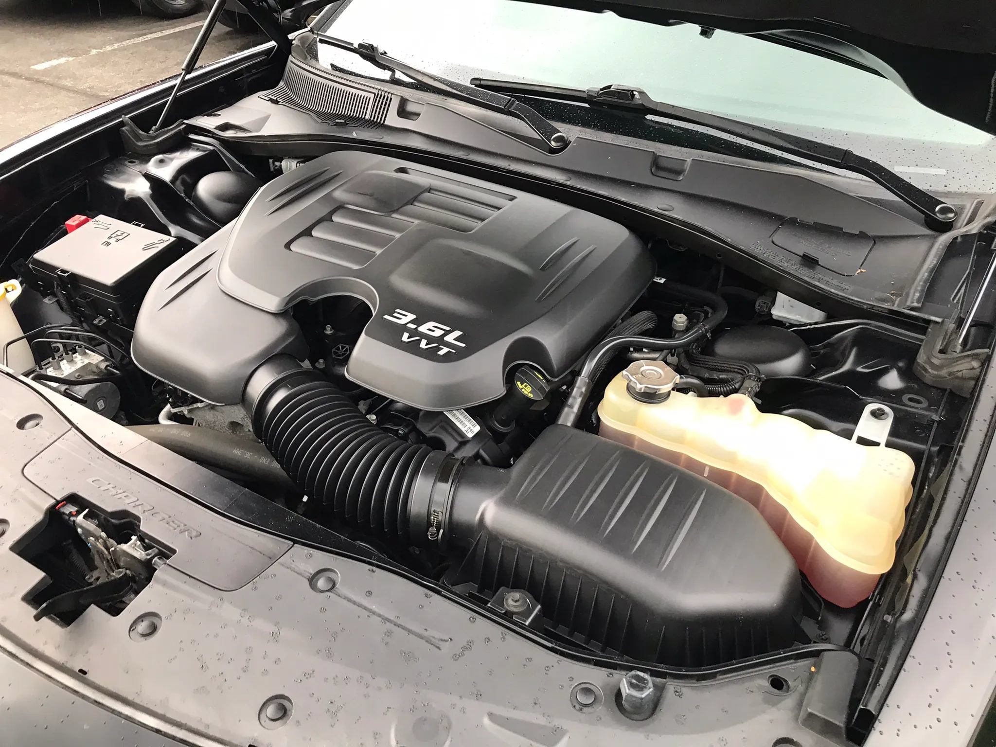 Used 2019 Dodge Charger SXT AWD/4WD image 52