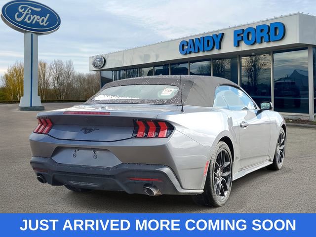 Used 2026 Ford Mustang Convertible w/ Mustang Nite Pony Package image 4