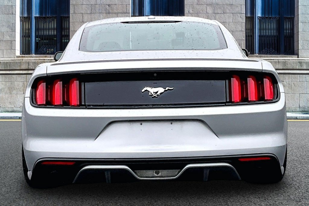 Used 2016 Ford Mustang Premium w/ Equipment Group 201A RWD image 4