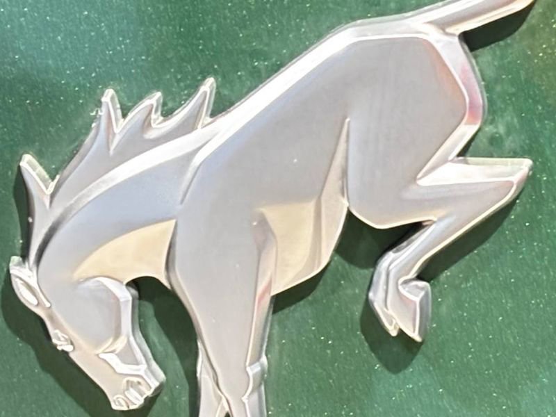 Used 2024 Ford Bronco Everglades image 17