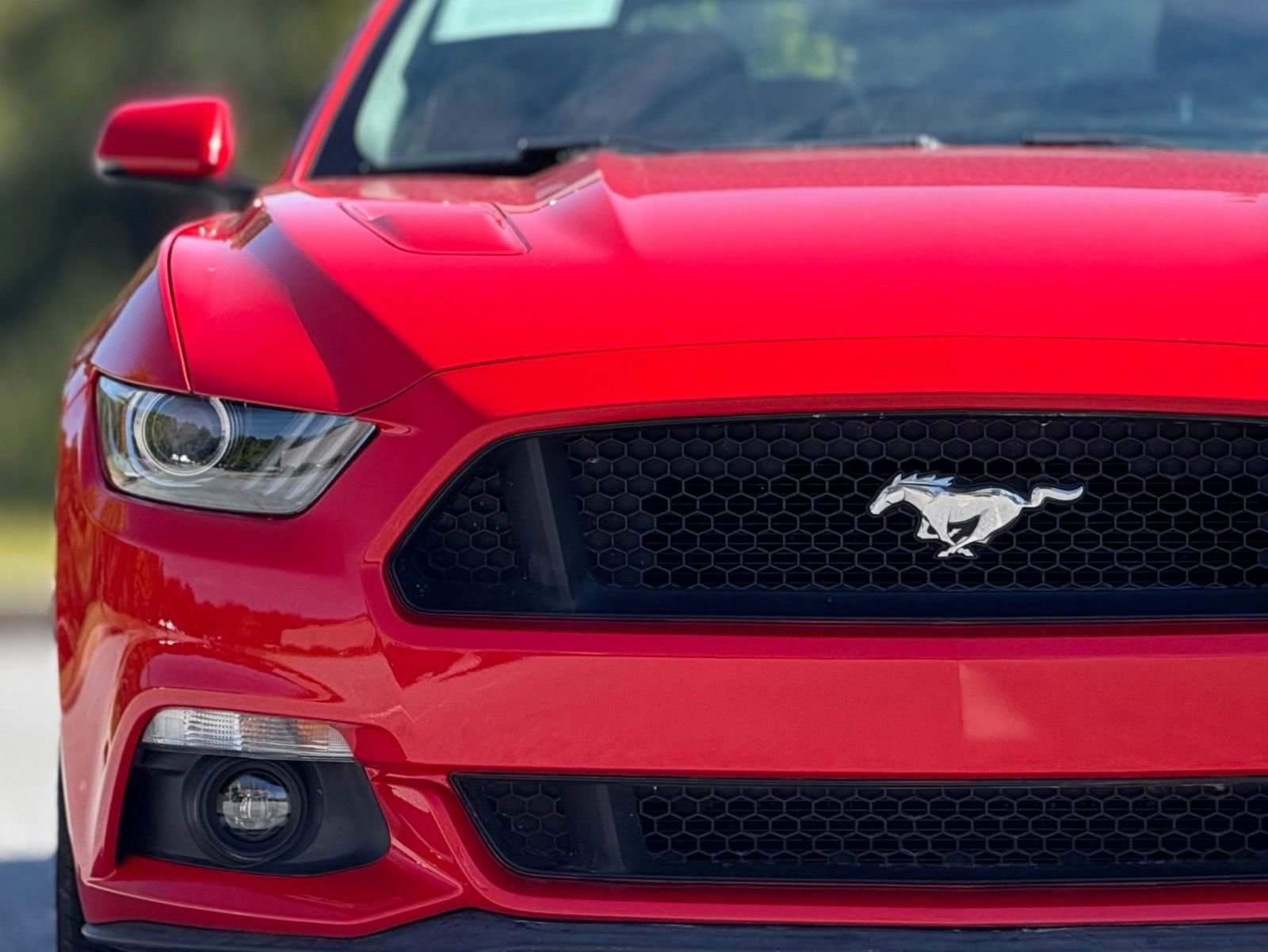 Used 2015 Ford Mustang GT Premium image 13