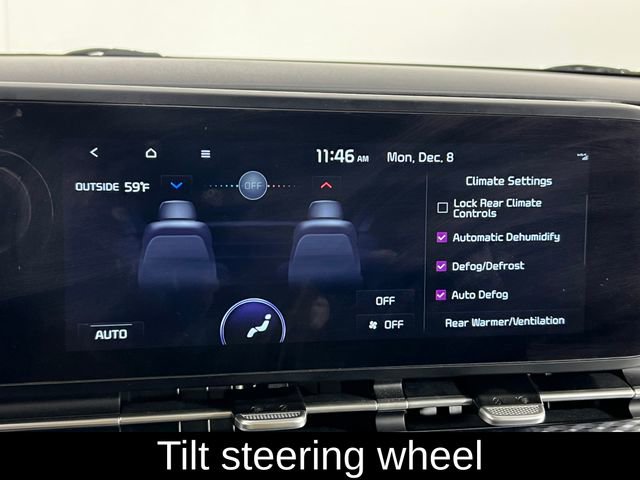 Used 2024 Kia Carnival SX Prestige image 28