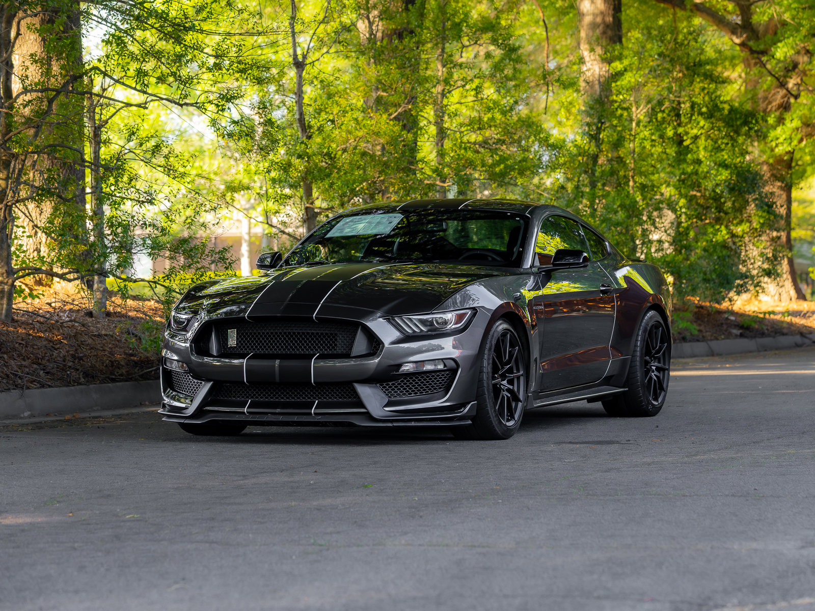 Used 2016 Ford Mustang Shelby GT350 w/ Technology Package RWD image 44