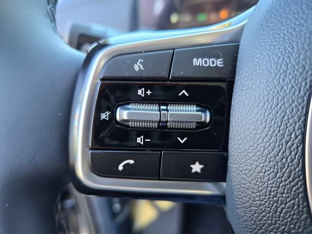 New 2026 Kia Carnival SX Prestige FWD image 13